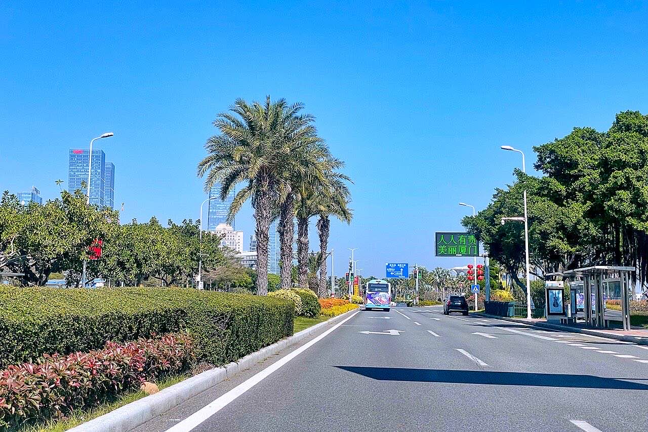 Palm-lined Huandao Road in Xiamen